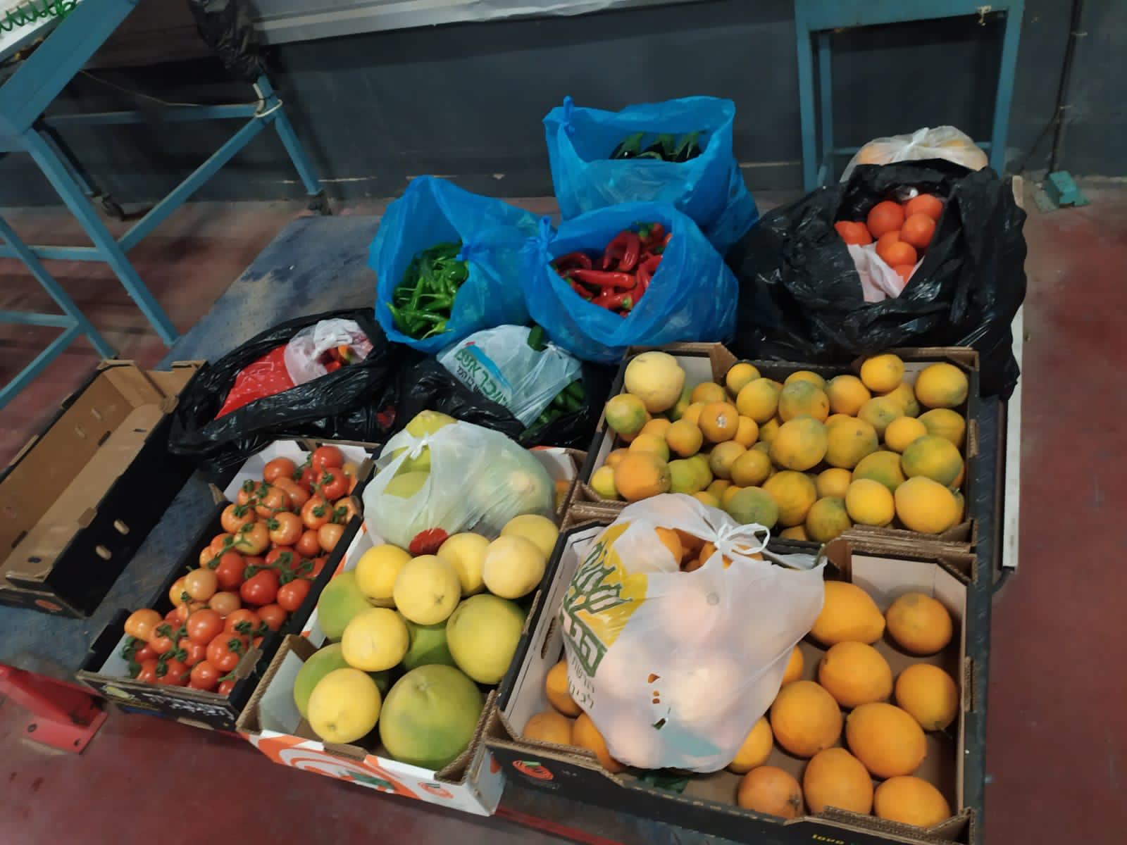 הגנבים מעמיסים מכל טוב: גניבה ממשק חקלאי בנגב (צילום: באדיבות השומר החדש)